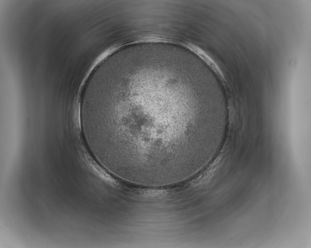 X0000113311238200909211135