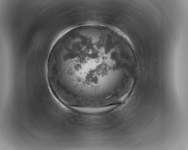 X0000113311239200909211135