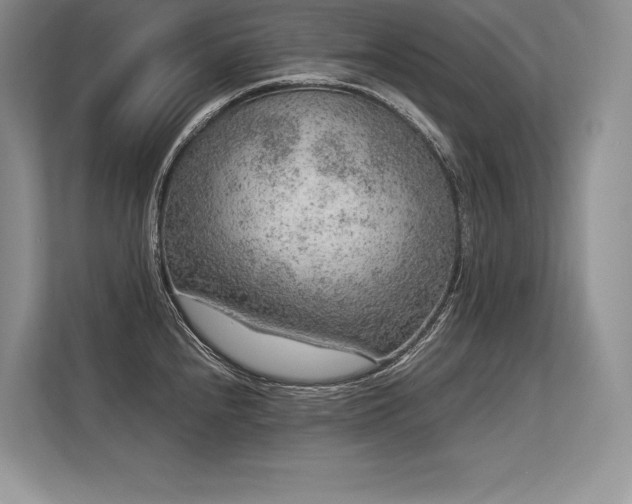 X0000113311240200909211135