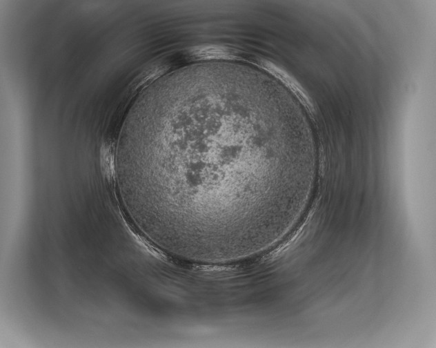 X0000113311241200909211135