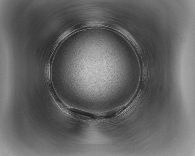 X0000113311242200909211135