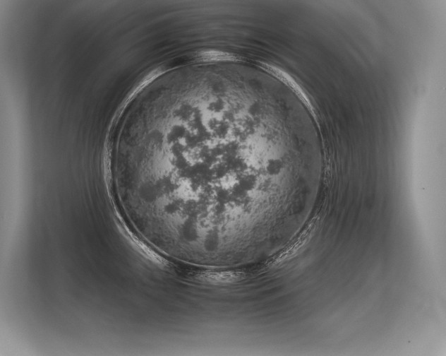 X0000113311243200909211135