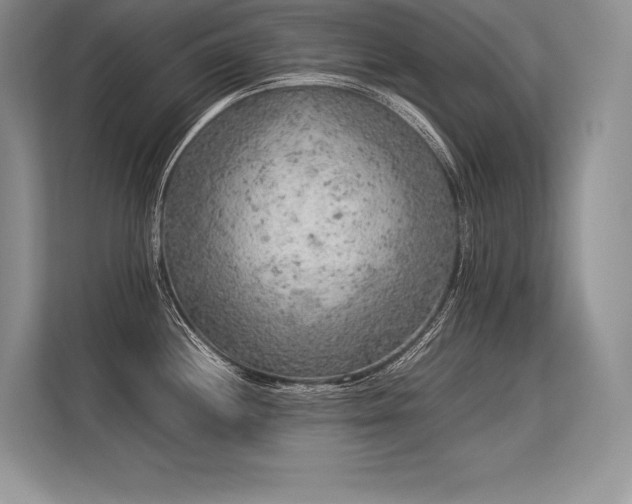 X0000113311244200909211135