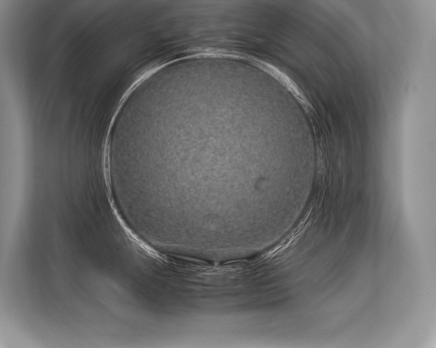 X0000113311247200909211135