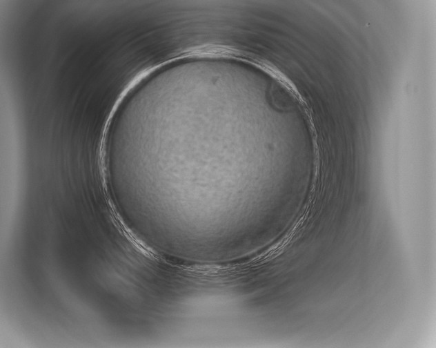 X0000113311248200909211135