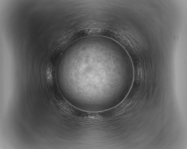 X0000113311250200909211135