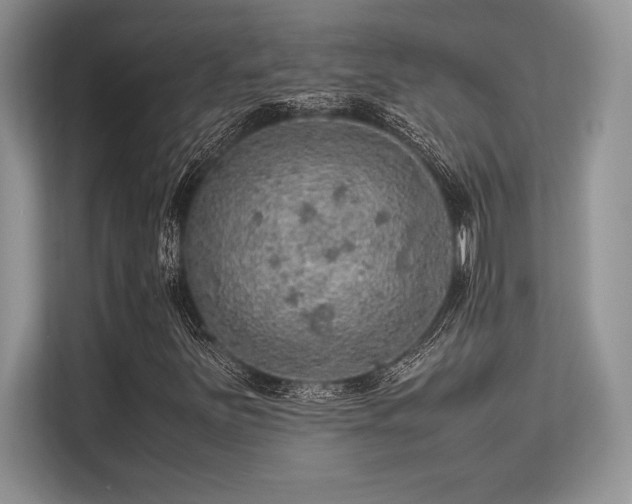 X0000113311251200909211135