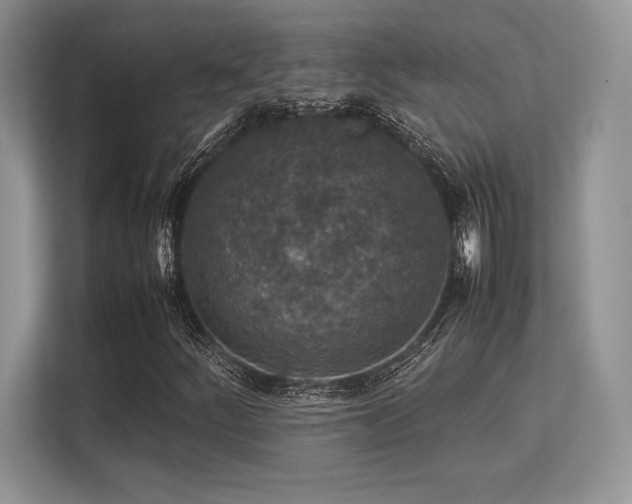 X0000113311252200909211135