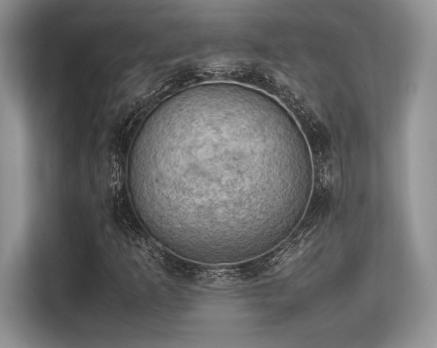 X0000113311253200909211135