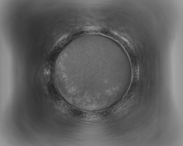 X0000113311254200909211135