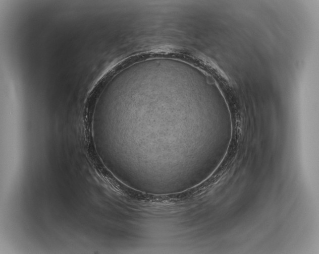 X0000113311256200909211135