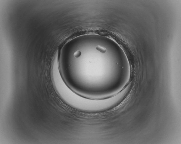 X0000113311257200909211135