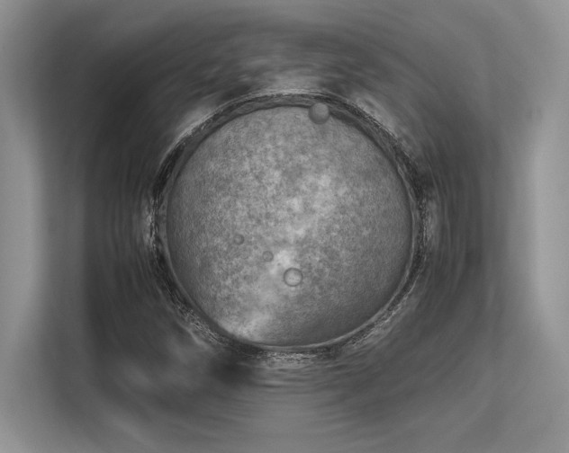 X0000113311258200909211135