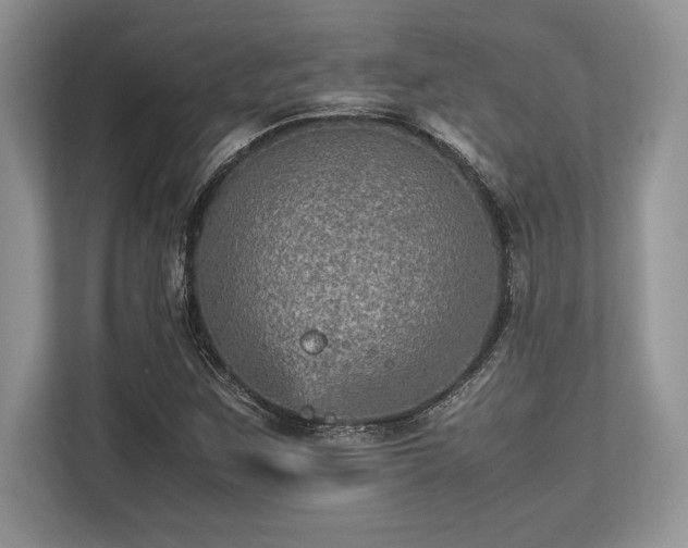 X0000113311259200909211135