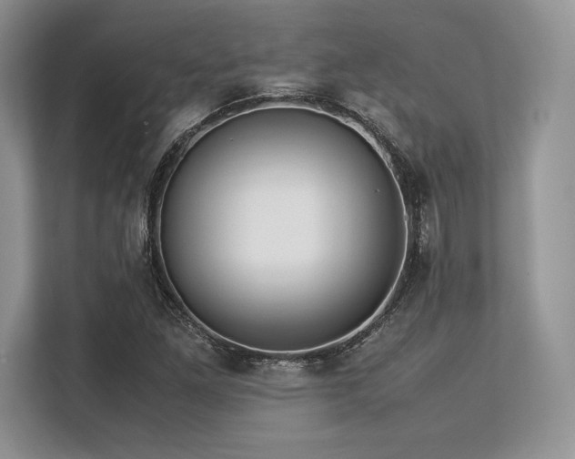 X0000113311261200909211135