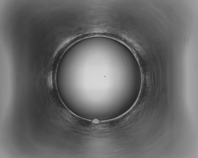 X0000113311262200909211135