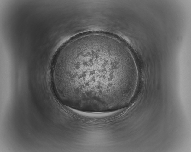 X0000113311263200909211135