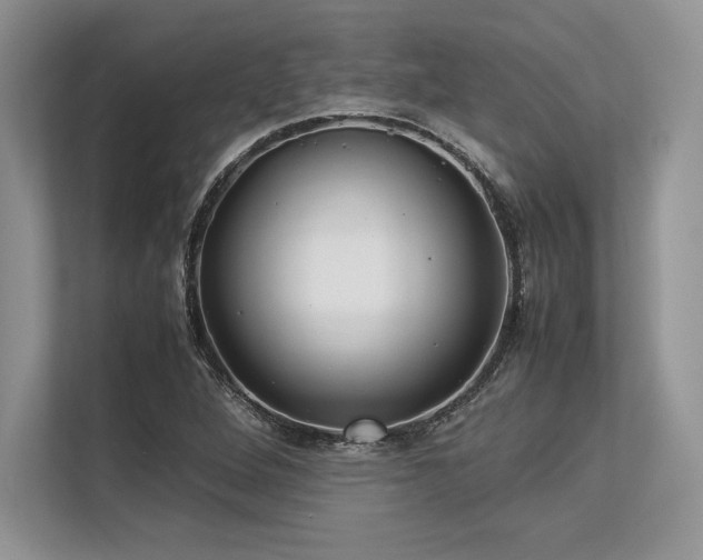 X0000113311264200909211135