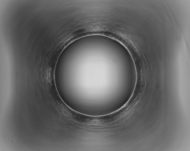 X0000113311265200909211135