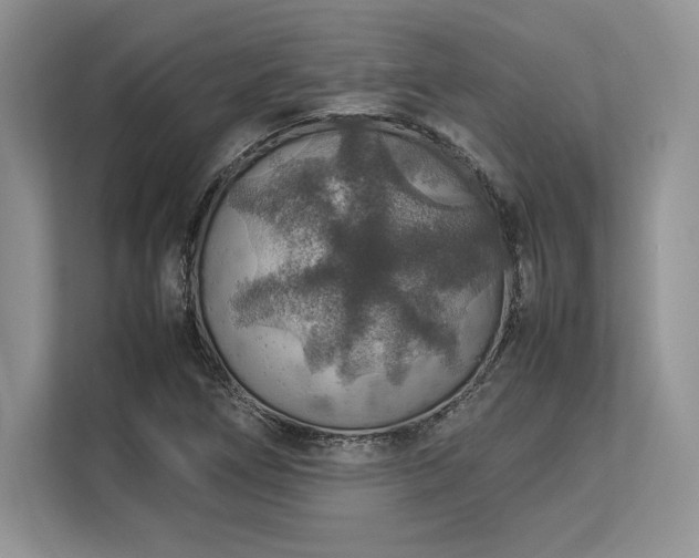 X0000113311266200909211135