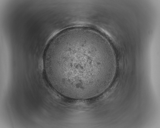 X0000113311267200909211135