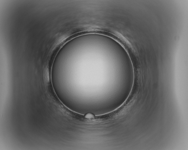 X0000113311269200909211135