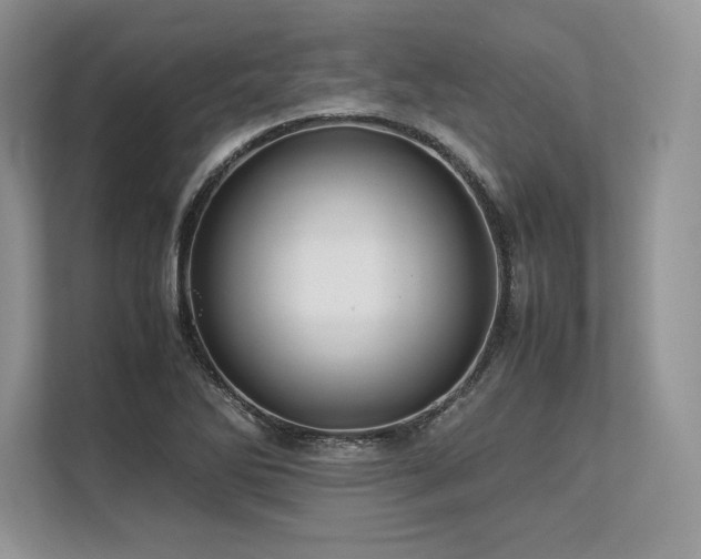 X0000113311270200909211135