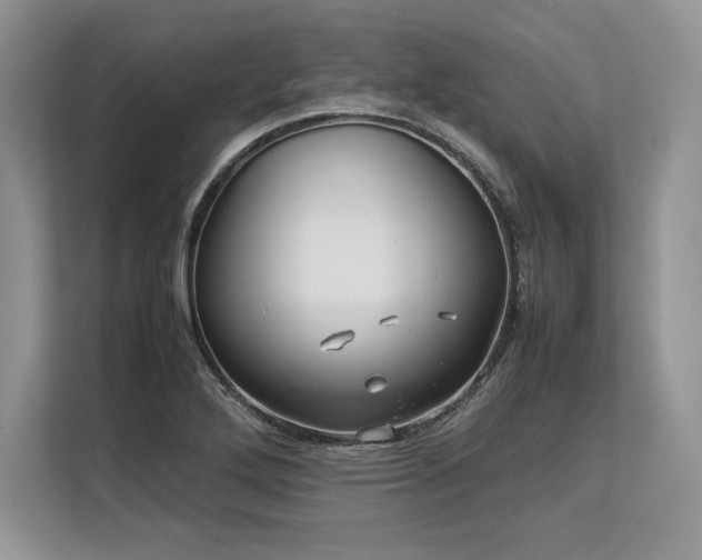 X0000113311272200909211134