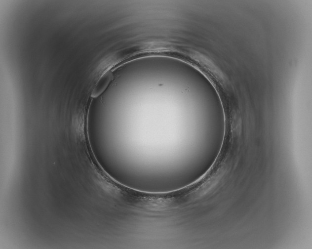 X0000113311273200909211134