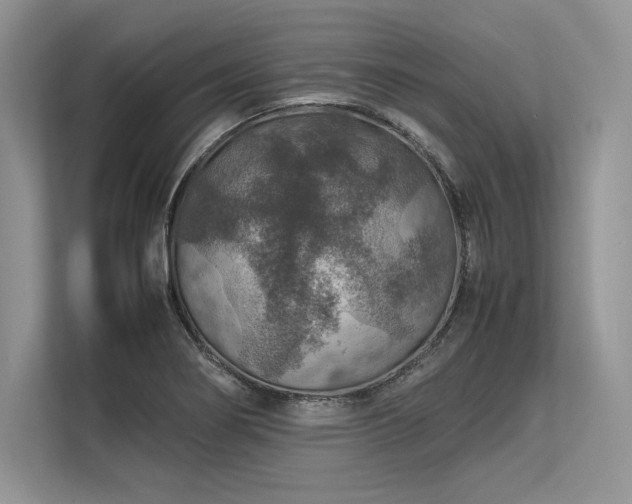 X0000113311274200909211134