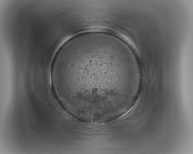 X0000113311275200909211134