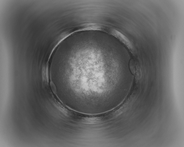 X0000113311276200909211134