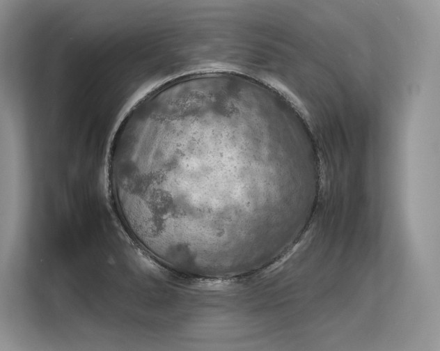 X0000113311278200909211134