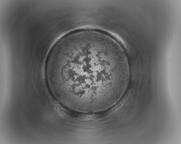 X0000113311279200909211134