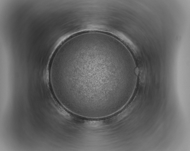 X0000113311280200909211134