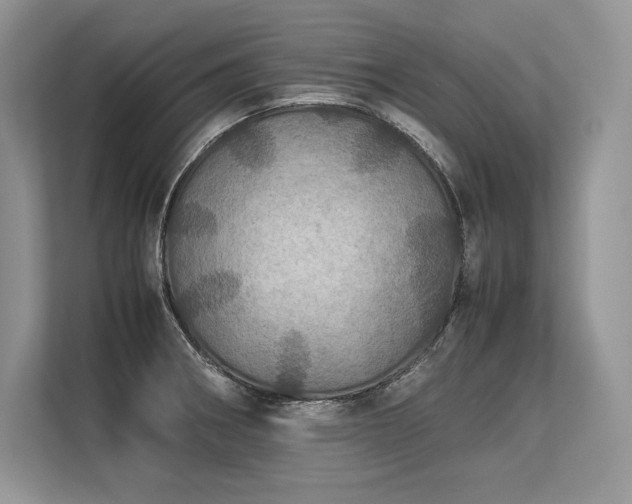 X0000113311282200909211134