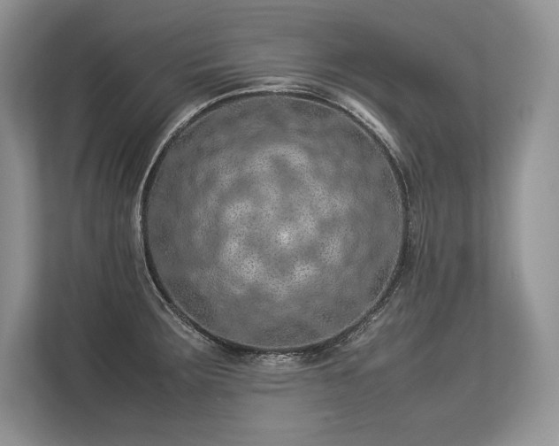 X0000113311283200909211134