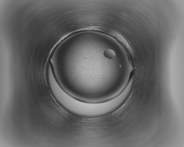 X0000113311284200909211134