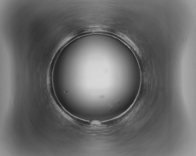 X0000113311285200909211134