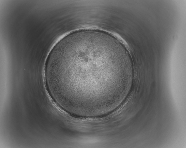 X0000113311287200909211134