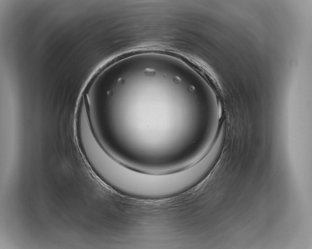 X0000113311288200909211134