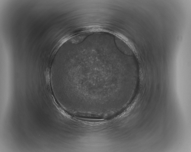 X0000113311289200909211134