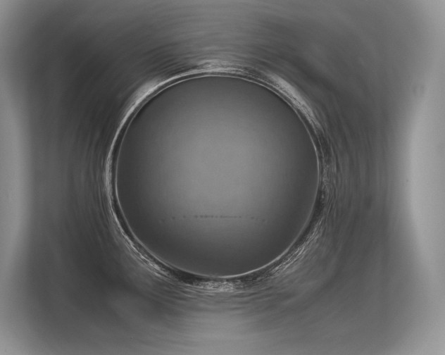 X0000113311291200909211134