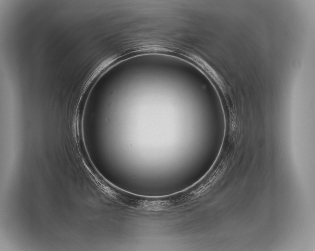 X0000113311293200909211134