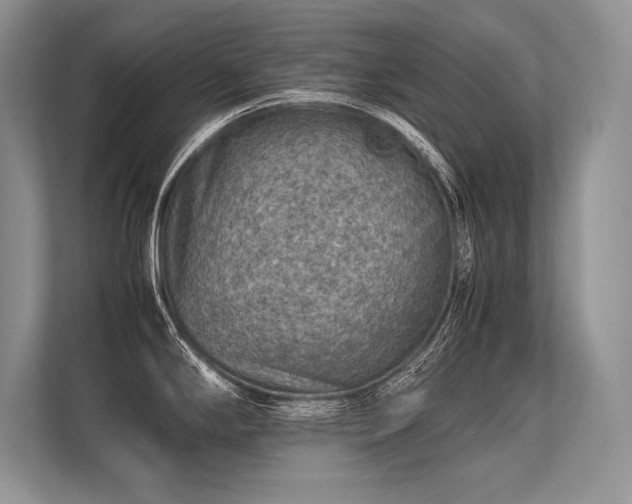 X0000113311294200909211134