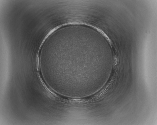 X0000113311295200909211134