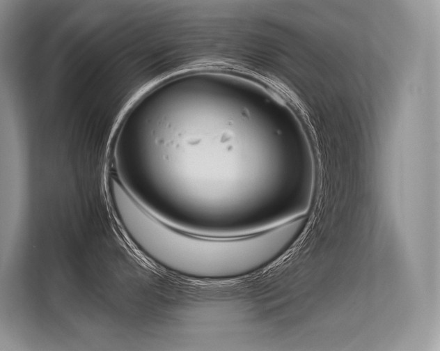 X0000113311296200909211134