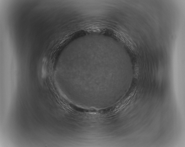 X0000113311297200909211133