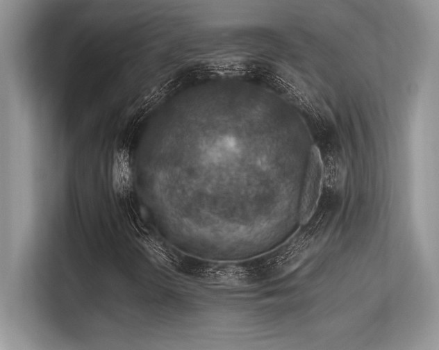 X0000113311298200909211133