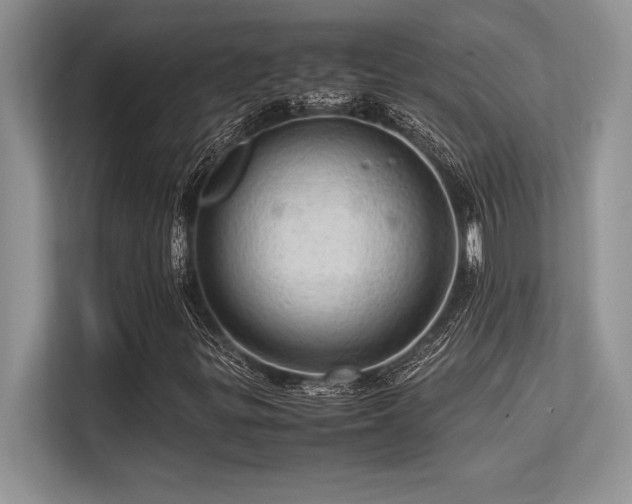 X0000113311299200909211133